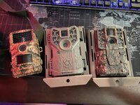 IMG_8086.jpeg