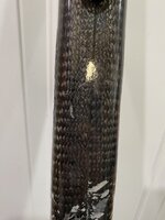 IMG_2865.jpeg