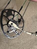 IMG_4334.jpeg