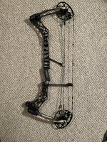 IMG_4333.jpeg
