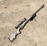 IMG_0335.jpeg