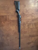 IMG_1073.jpeg