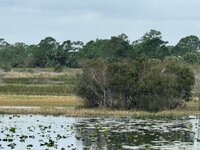 IMG_0293.jpg