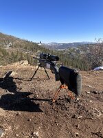 IMG_4550.jpeg