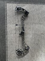 IMG_7469.jpeg