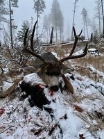 IMG_4294.jpeg