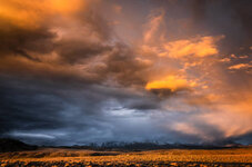 IMG_0199.jpeg