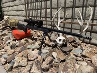 IMG_1071.jpeg