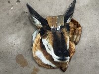 IMG_1401.jpeg
