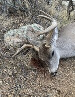 San Carlos Reservation Fishing Tanks - Fishing - CouesWhitetail