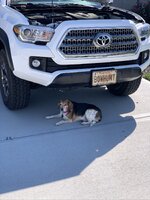 IMG_1919.JPEG
