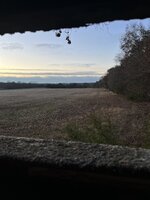 IMG_9192.jpeg