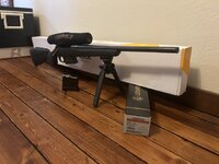 IMG_2968.jpeg