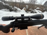 IMG_2974.jpeg