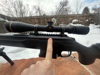 IMG_2977.jpeg