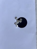 IMG_7030.jpeg