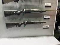 IMG_2835.jpeg