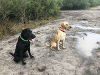 IMG_5817.jpeg