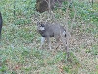 IMG_6243.jpeg