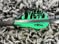 IMG_4568.jpeg
