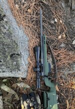 IMG_2343.jpeg