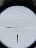 IMG_1105.jpeg