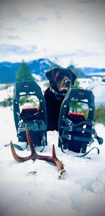 IMG_4865.jpeg