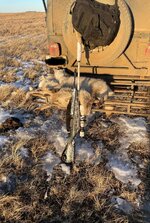 IMG_7002.jpeg