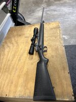 IMG_2822.jpeg