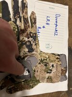 IMG_2792.jpeg
