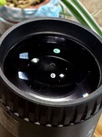 IMG_1904.jpeg