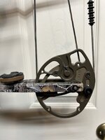 IMG_2797.jpeg