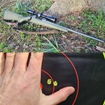 IMG_20240129_080919.jpg IMG_20240129_080919.jpg