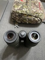IMG_3377.jpg