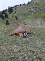IMG_3338.jpeg