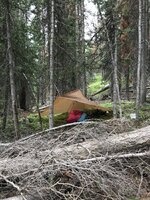 IMG_3340.jpeg