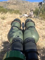 IMG_6841.jpeg