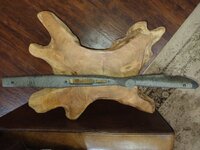 IMG_20240130_111206361.jpg