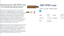 Screenshot 2024-01-30 at 5.36.42 PM.png