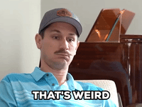 1706666822566.gif
