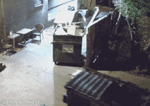 1000003459.gif