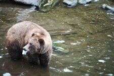 IMG_5485.jpeg