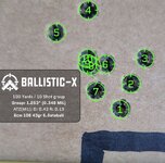 Ballistic-X-Export-2024-01-31 17_29_01.251700.jpg