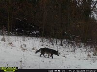 IMG_20240130_074133.jpg