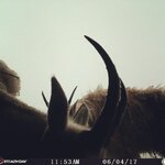 IMG_8193.jpeg