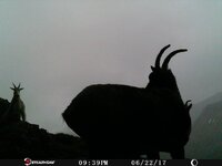 IMG_0493.jpeg