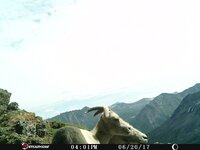 IMG_6174.jpeg