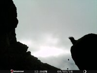 IMG_6125.jpeg