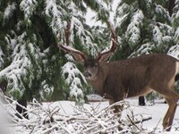 IMG_1530.jpg