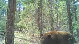 IMG_1331.jpeg